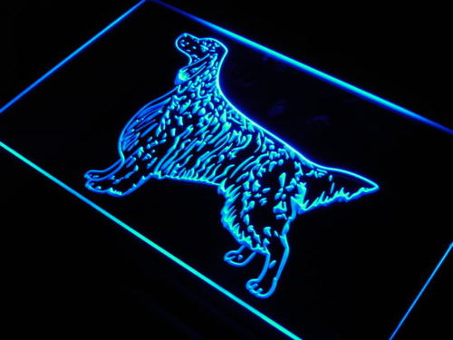 English Setter Dog Pet Shop Neon Light Sign